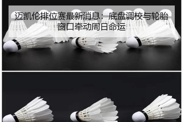 迈凯伦排位赛最新消息：底盘调校与轮胎窗口牵动周日命运